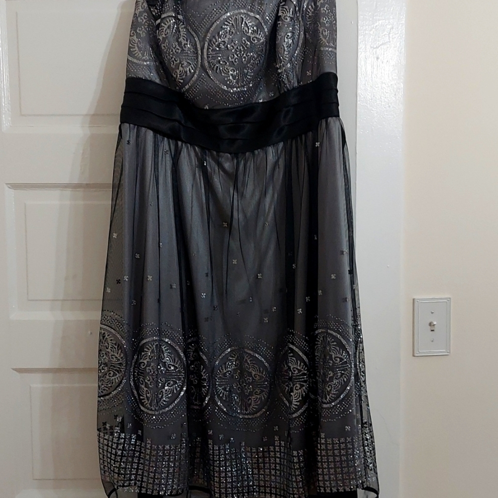 R & M Richards 18W  silver and black dress